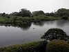 p4111511_thumb.jpg