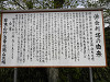 p4111607_thumb.jpg