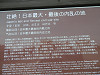 p4111689_thumb.jpg