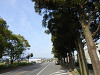 p4111694_thumb.jpg