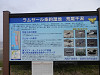 p4131891_thumb.jpg
