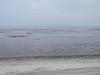 p4131892_thumb.jpg