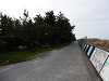 p4131894_thumb.jpg