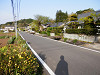 p4152157_thumb.jpg