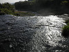 p4152184_thumb.jpg