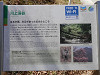 p4152200_thumb.jpg