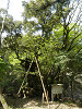p4152225_thumb.jpg