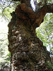 p4152227_thumb.jpg