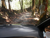 p4152237_thumb.jpg