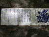 p4172348_thumb.jpg