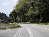 p4172365_thumb.jpg