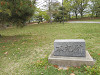 p4182494_thumb.jpg