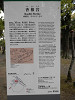 p4192638_thumb.jpg