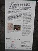 p4192650_thumb.jpg