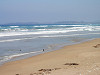 p4990004_thumb.jpg
