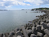 img_0043_thumb.jpg