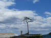 img_0048_thumb.jpg