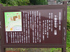 img_0010_thumb.jpg