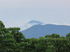 img_0088_thumb.jpg