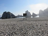 img_0019_thumb.jpg