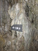 img_0082_thumb.jpg