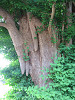img_0150_thumb.jpg