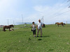 img_0067_thumb.jpg