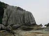 img_0016_thumb.jpg