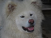 img_0149_thumb.jpg