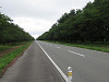 img_0041_thumb.jpg