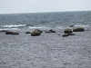 img_0154_thumb.jpg