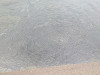 img_0043_thumb.jpg