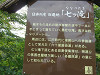 img_0537_thumb.jpg