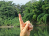 img_0615_thumb.jpg