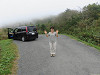 img_0991_thumb.jpg