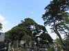 img_1100_thumb.jpg