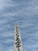 img_1253_thumb.jpg