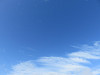img_1254_thumb.jpg