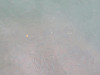 img_1403_thumb.jpg