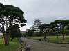 img_1531_thumb.jpg