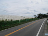 img_1881_thumb.jpg