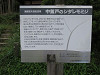 img_1931_thumb.jpg