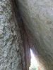 img_3647_thumb.jpg