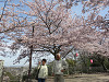 img_3871_thumb.jpg