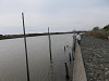 img_3881_thumb.jpg