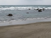 img_4077_thumb.jpg