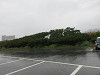 img_4117_thumb.jpg
