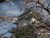 img_4180_thumb.jpg