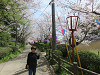 img_4204_thumb.jpg