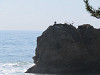 img_4499_thumb.jpg